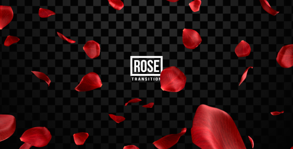 Rose Transitions, Motion Graphics | VideoHive