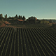 Aerial Footage of Tractor Spraying Pesticide in Vineyards - VideoHive Item for Sale