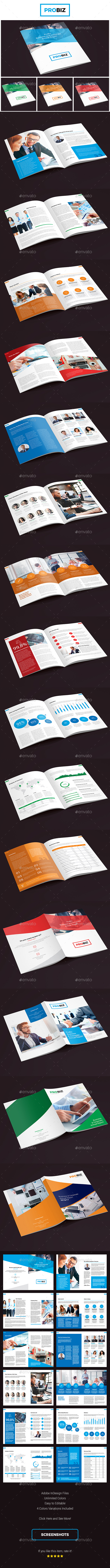 ProBiz – Business and Corporate Annual Report - Corporate Brochures