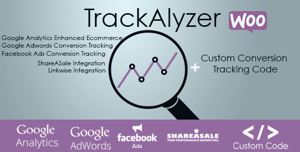 TrackAlyzer - AnalyticsCustom - CodeCanyon 19434627