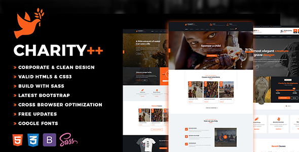 Charity Plus - ThemeForest 19436406