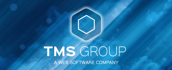 Tms group top banner