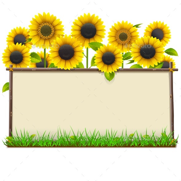 Vector Wooden Frame with Sunflowers - Flowers & Plants Nature