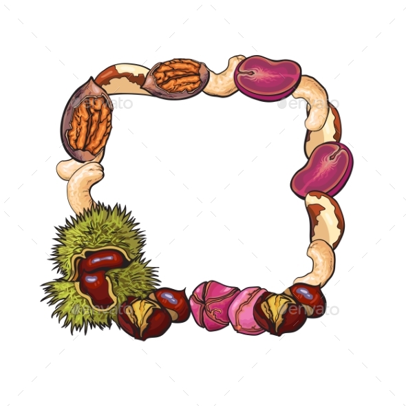 Square Frame of Walnut, Coconut, Cashew, Kola - Food Objects
