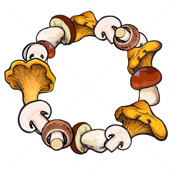 Round Frame of Sketch Edible Mushrooms with Place - Seasons Nature