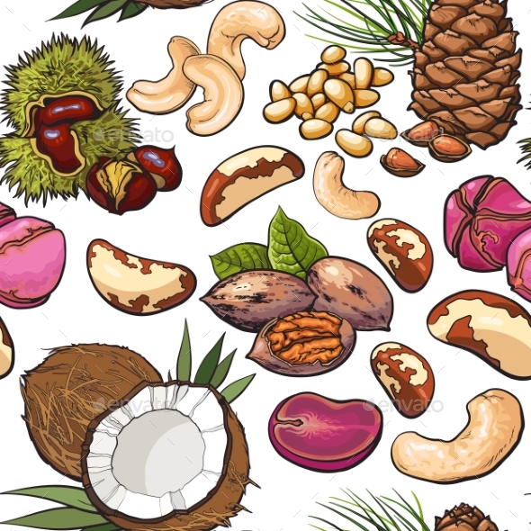 Seamless Pattern of Walnut, Coconut, Cashew, Kola - Backgrounds Decorative