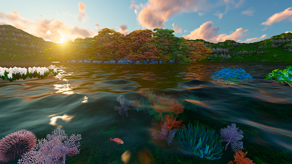 Water Flowers In The Lake At Sunset