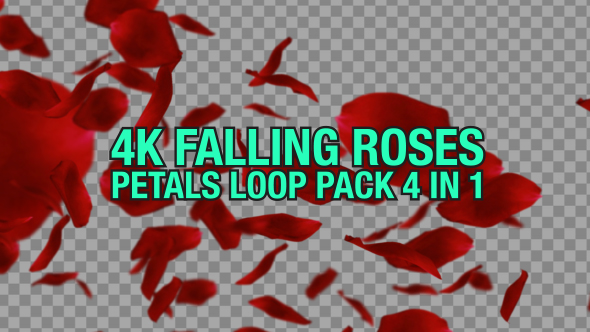 4K Rose Falling Pack 4 n 1