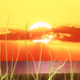 Sun Rise - VideoHive Item for Sale
