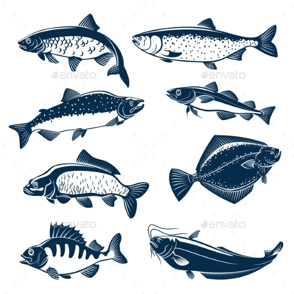 Sea and River Fishes Vector Isolated Icons - Animals Characters