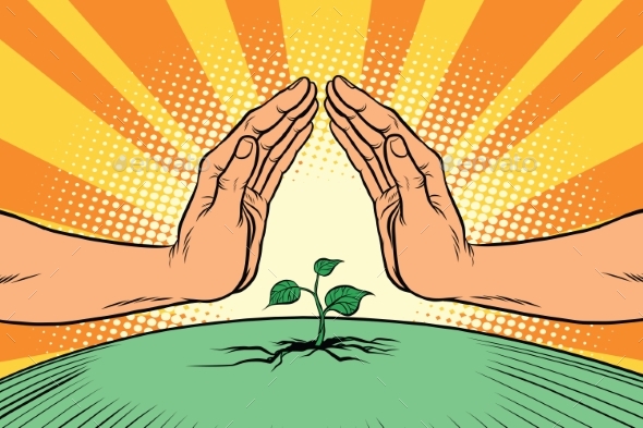 Human Hands Protecting a Green Sprout - Miscellaneous Conceptual