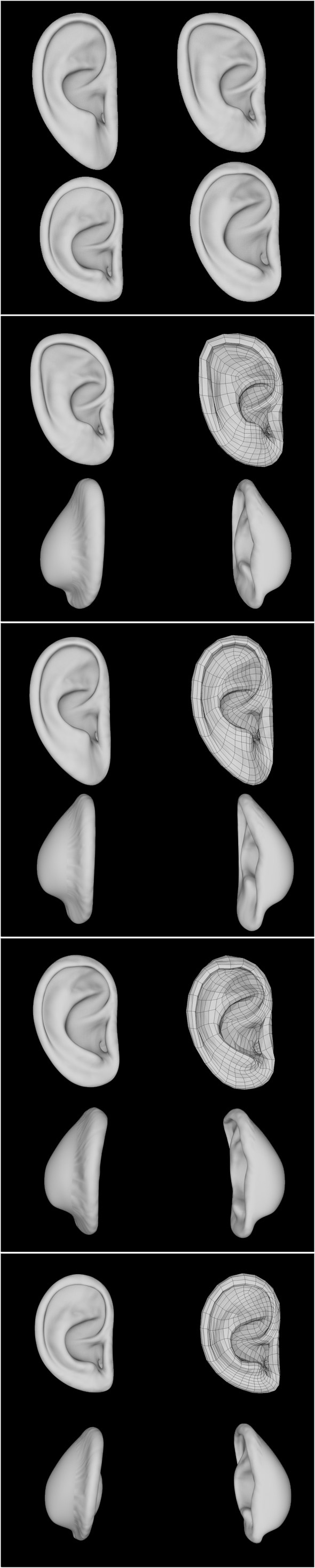 Ear - Full - 3Docean 19446610