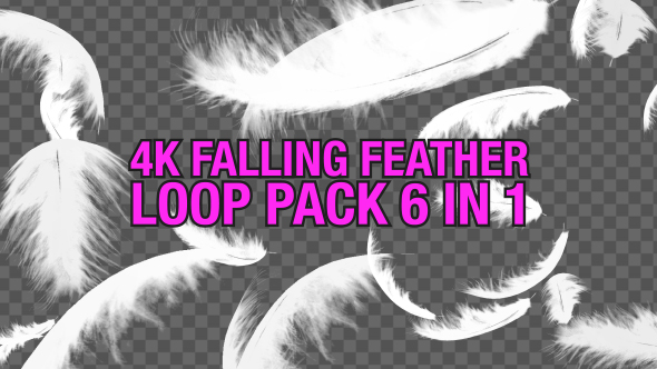 4K Falling Feather Pack 6 in 1