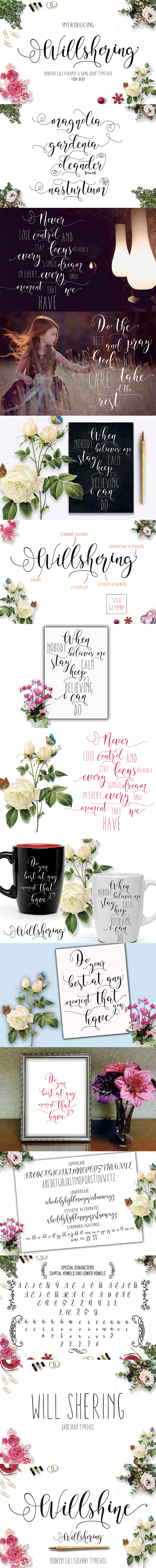 Willshering Script - Fonts