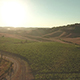 Drone Footage of Vineyard By Dirt Road in Tuscany - VideoHive Item for Sale