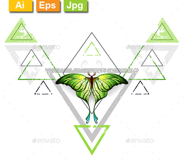 Geometric Pattern with Green Butterfly - Decorative Vectors