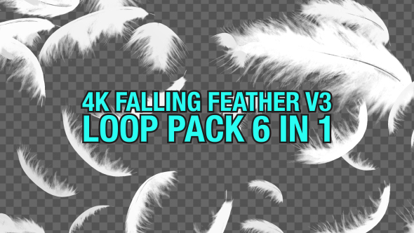 4K Falling Feather Pack V3 6 in 1