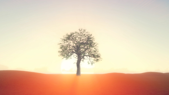 Realistic Growing Tree At Sunrise alt