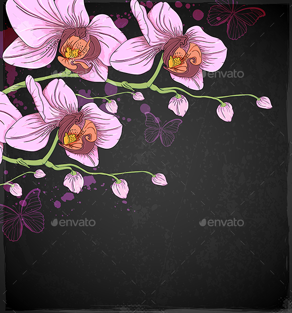 Pink Orchids and Butterflies - Flowers & Plants Nature