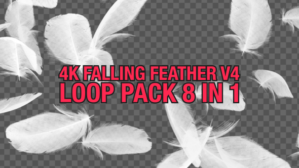 4K Falling Feather Pack V4 8 in 1