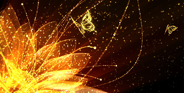 Gold Flower and Butterflies, Motion Graphics | VideoHive