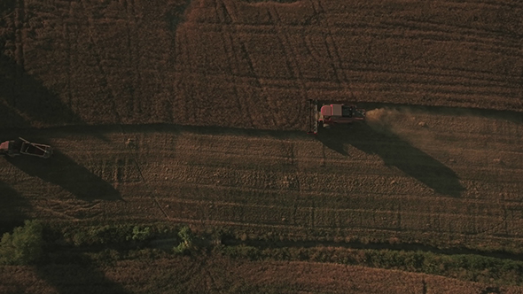 Aerial Footage of Tractor Harvesting Crops in Wheat Field alt