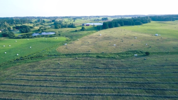 Tractor Working in Fields Aerial View