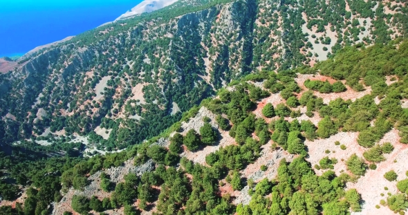 Flying Above Serpentine Road