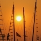 Masts of Ships and Boats at Sunset. . - VideoHive Item for Sale