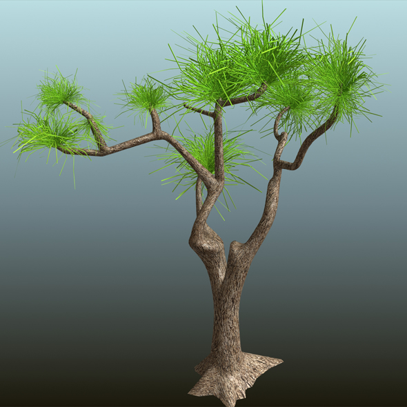 Tree_01 - 3Docean 19462756