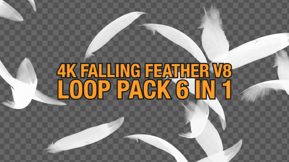 4K Falling Feather Pack V8 6 in 1