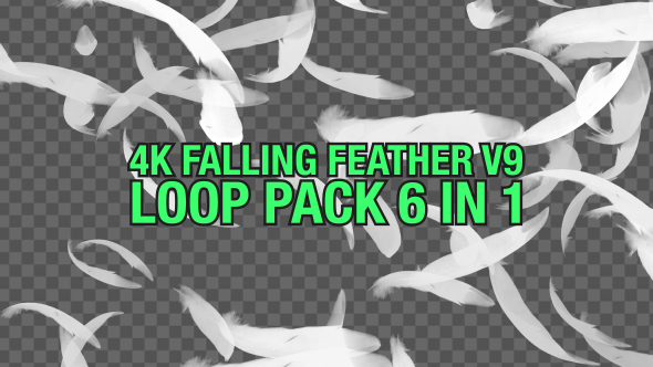 4K Falling Feather Pack V9 6 in 1