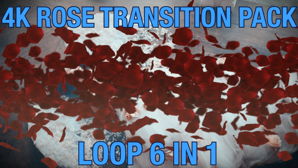 4K Rose Transition Pack 6 in 1