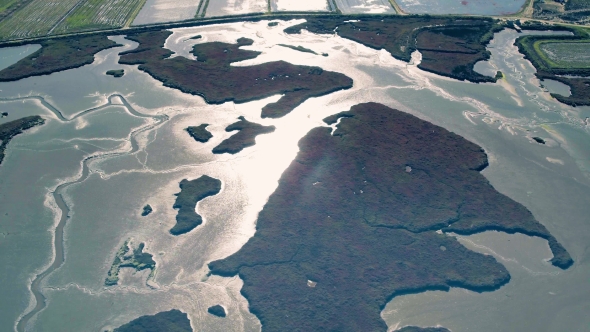 Aerial Flight Over the Swampy Shore at Low Tide