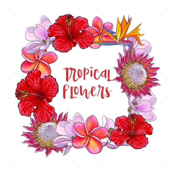Square Frame of Tropical Flowers and Palm Leaves - Flowers & Plants Nature