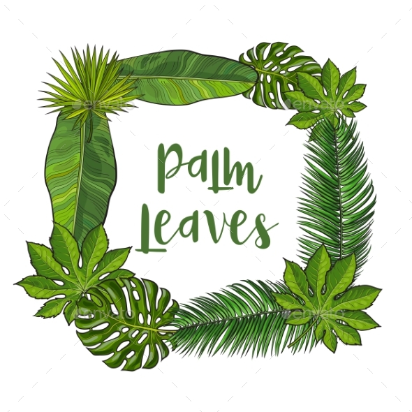 Square Frame of Tropical Palm Leaves with Place - Flowers & Plants Nature