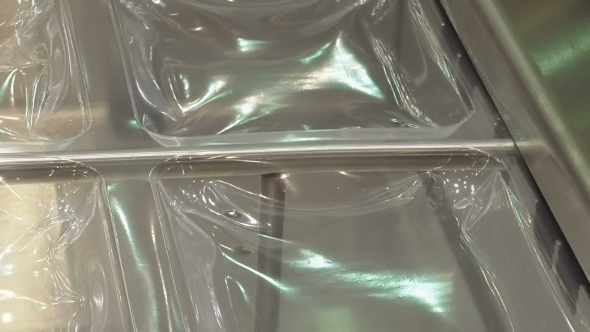 Vacuum Food Package Machine in Action alt