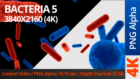 Bacteria 5 alt