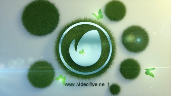 Logo in the - VideoHive 19486460