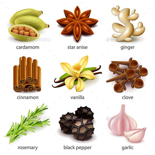 Species and Herbs Icons Vector Set - Food Objects