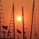 Masts of Ships and Boats at Sunset - VideoHive Item for Sale