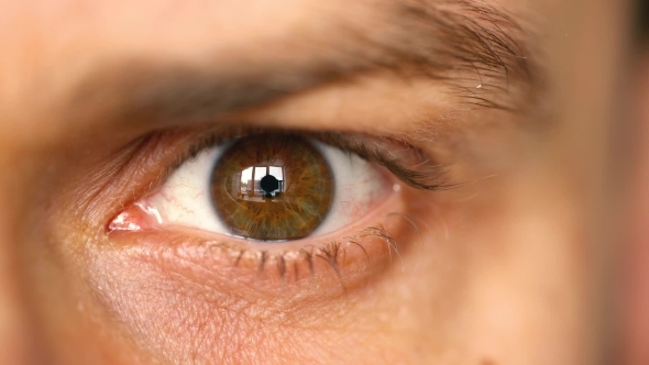 Beautiful Blinking Male Eye, Stock Footage | VideoHive