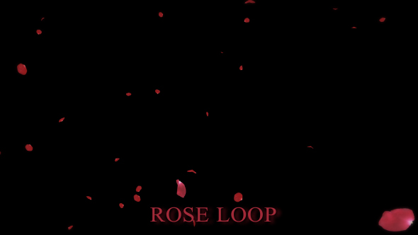 Rose1 alt