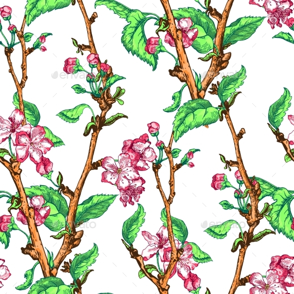 Apple Tree Sketch Design - Flowers & Plants Nature