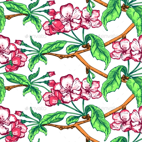 Apple Flower Sketch Pattern - Flowers & Plants Nature