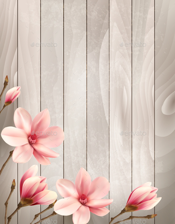 Spring Nature Background With Magnolia - Flowers & Plants Nature
