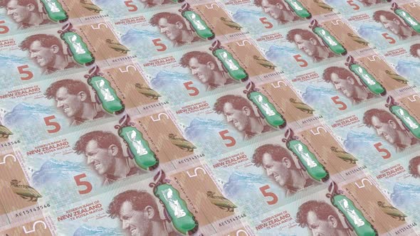 New Zealand Money / 5 New Zealand Dollar 4K alt