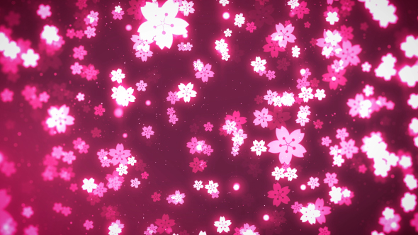 Cherry Blossom Sakura Background alt