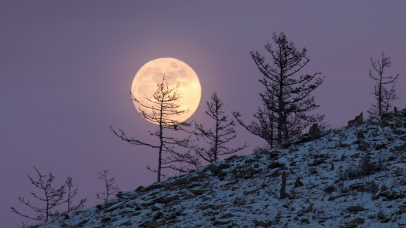 Night  Large Full Bright Moon Rises From Above Hill Into Sky.