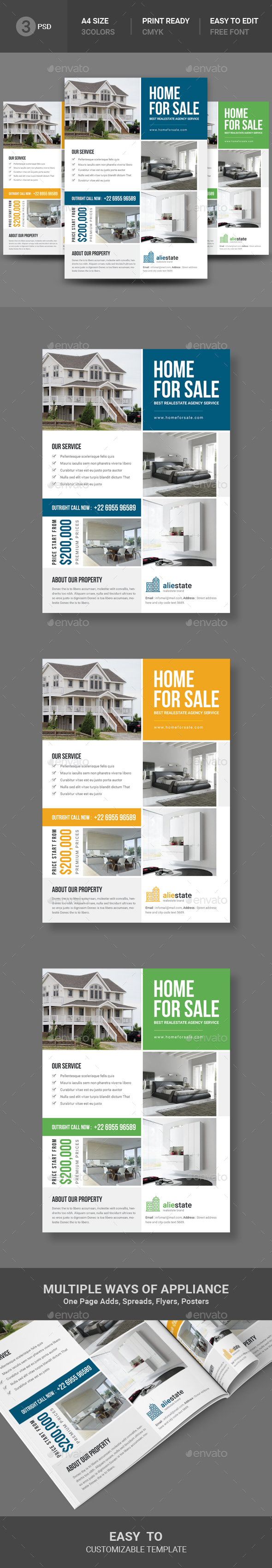 Real Estate Flyer